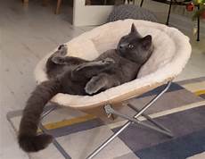 Big Sofa